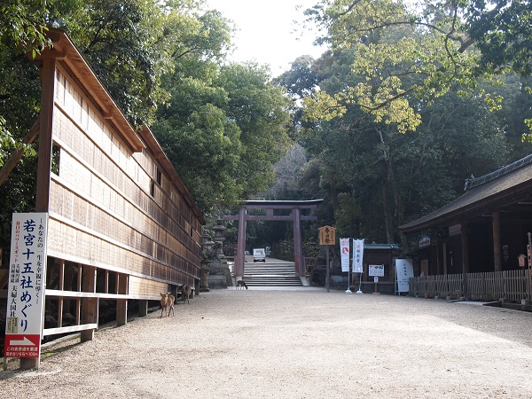 kasuga-shrine1