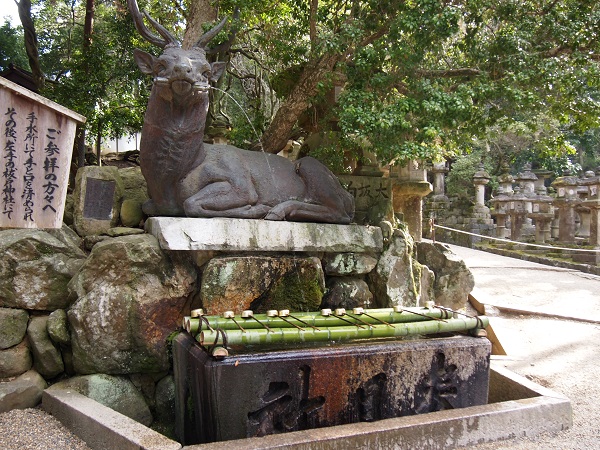 kasuga-shrine2