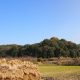 山の辺の道（奈良県天理市～桜井市）