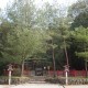 檜原神社(奈良県桜井市) 檜原神社(奈良県桜井市)