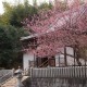 日本三大不動尊「木原不動尊」の隠れたパワースポット「奥の院」（熊本県熊本市）