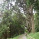 幣立神宮（熊本県山都町）